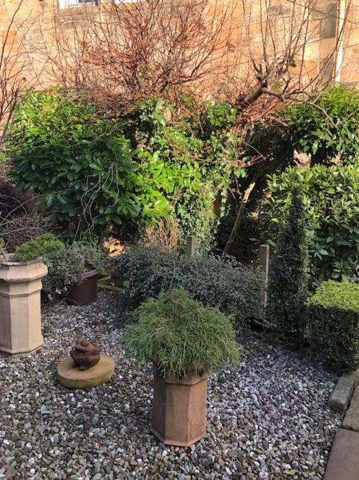 Stirling Garden Apartment Buitenkant foto